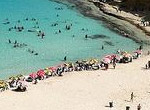 Sharm El Sheikh Car Rental